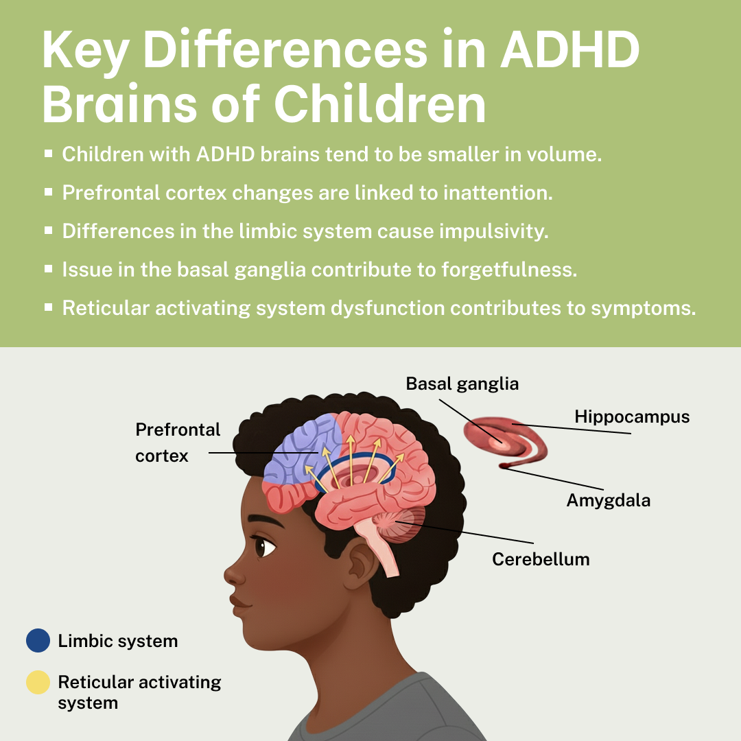 THE ADHD PARENT SURVIVAL SYSTEM - 30-day challenge